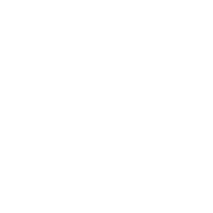 Wemo Outdoor Plug