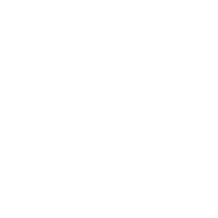 MailerLite icon