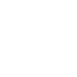 DeepSeek icon