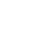 WiZ icon