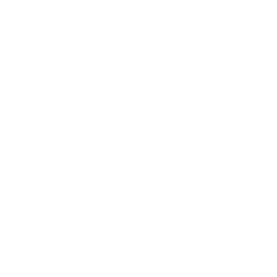 Plexilent icon