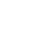 The Money Guy Show