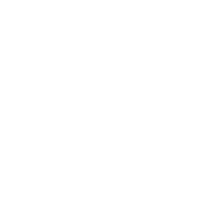 Google Civic Information icon