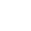 Google Civic Information