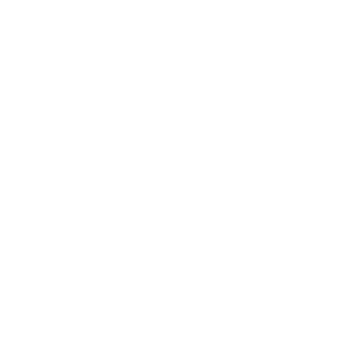 Circle icon