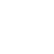 EVE For Tesla