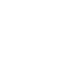 EVE For Tesla