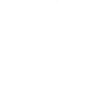 Danalock Unlock door.