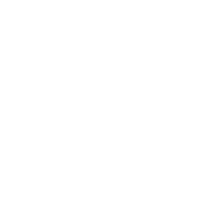 Flic Flic